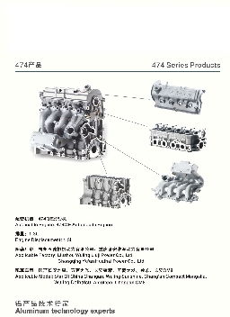 缸盖、进气歧管、通机缸头、铝合金铸件 Logo